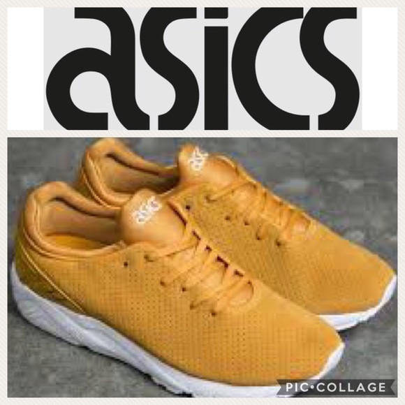 Asics Other - NWT Men's ASICS GEL-KAYANO TR EVO Shoe Sneaker
